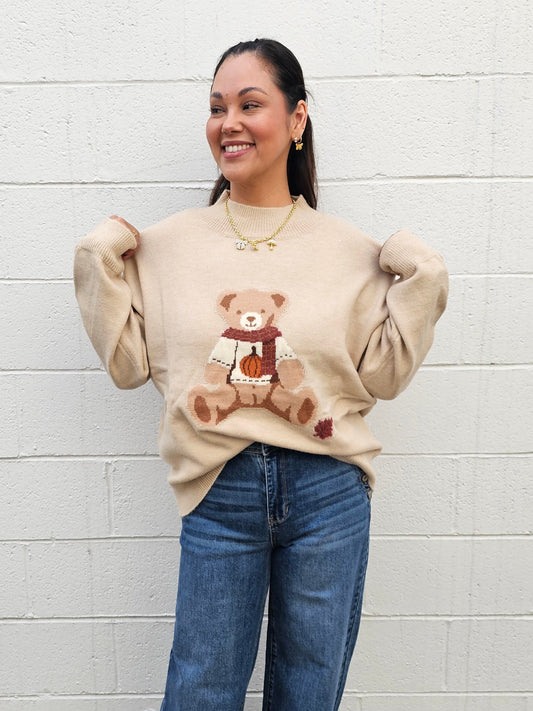 Warm Teddy Sweater