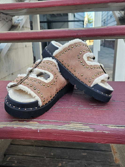 Gaylen Slides