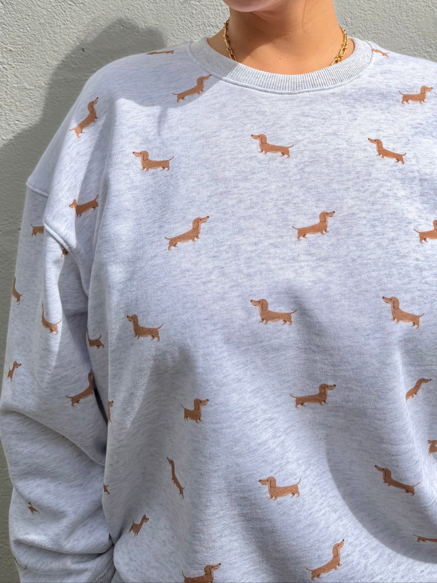 Velvet Sweatshirt
