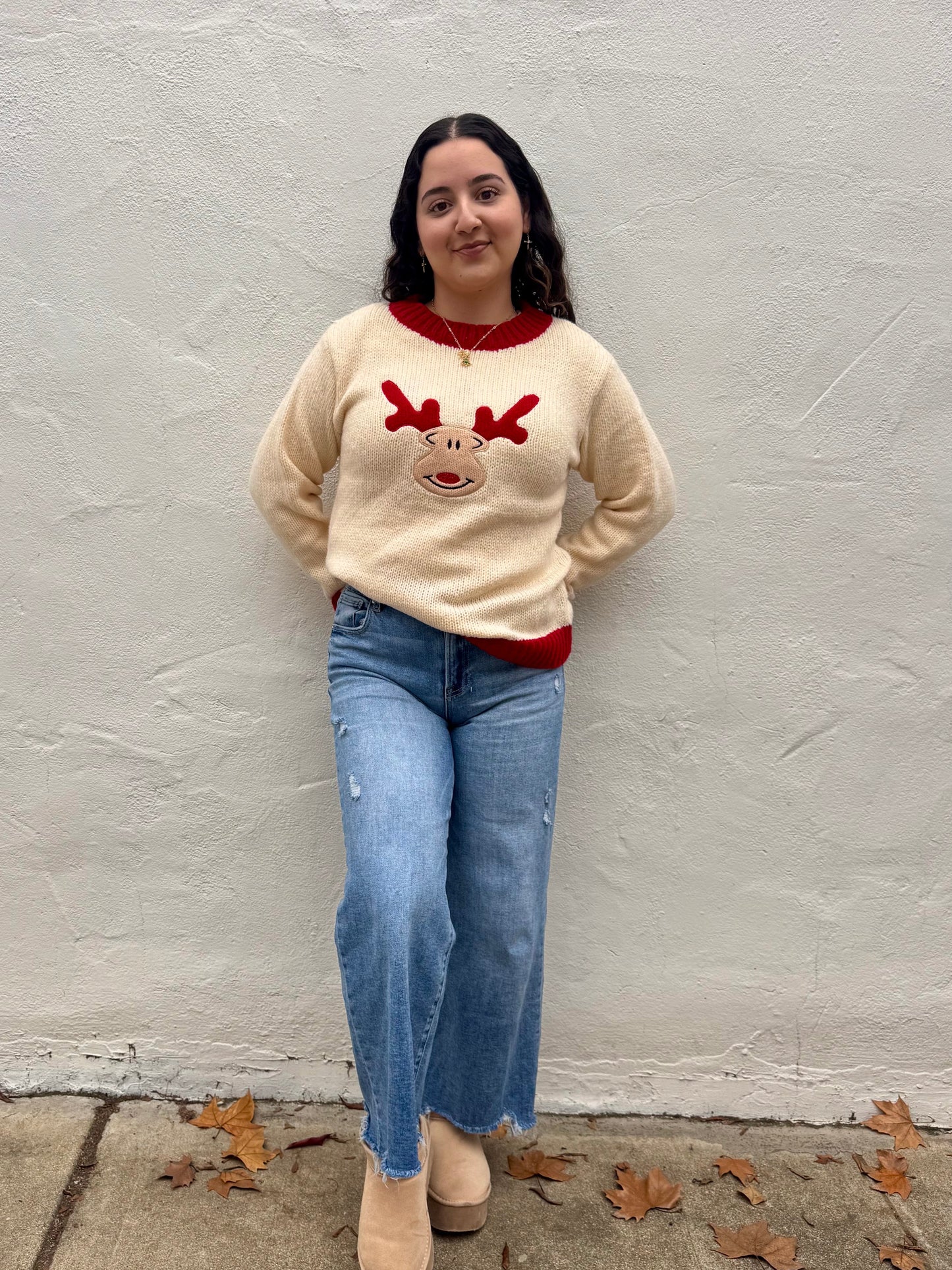 Reindeer Sweater