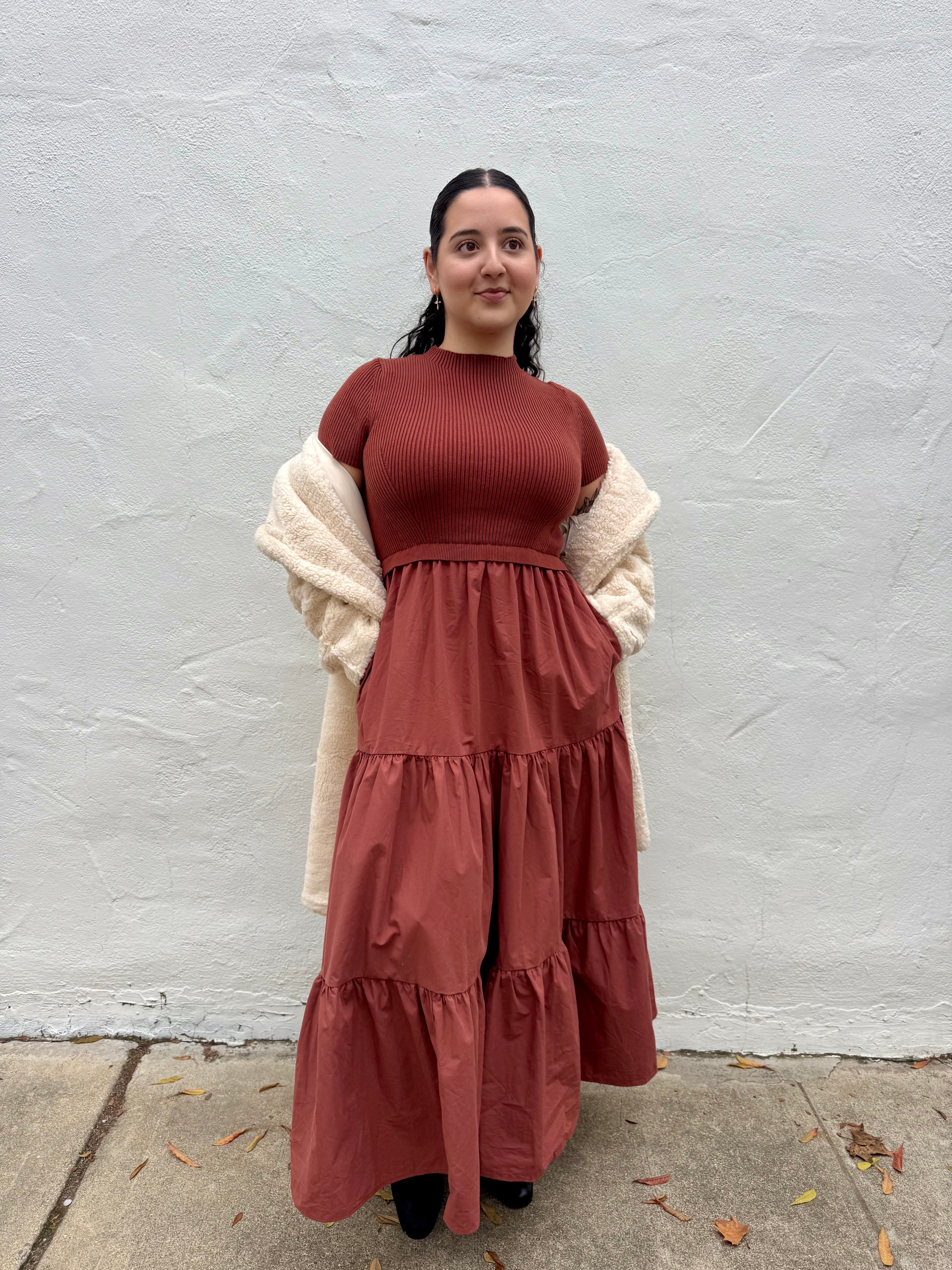 Diane Dress-Rust