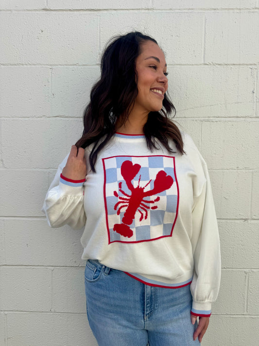 Sabastian Sweater Top